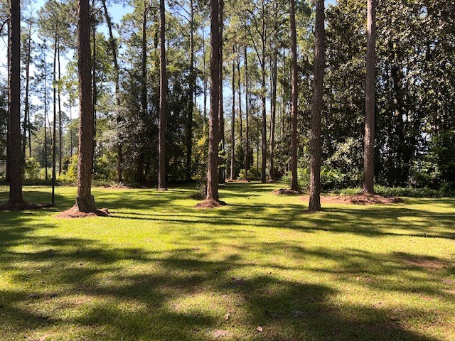 374 Chula Brookfield Rd