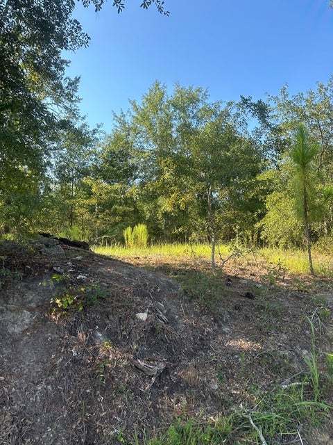 Tiny photo for 0 Sparrow Rd, Fitzgerald, GA 31750 (MLS # 142470)