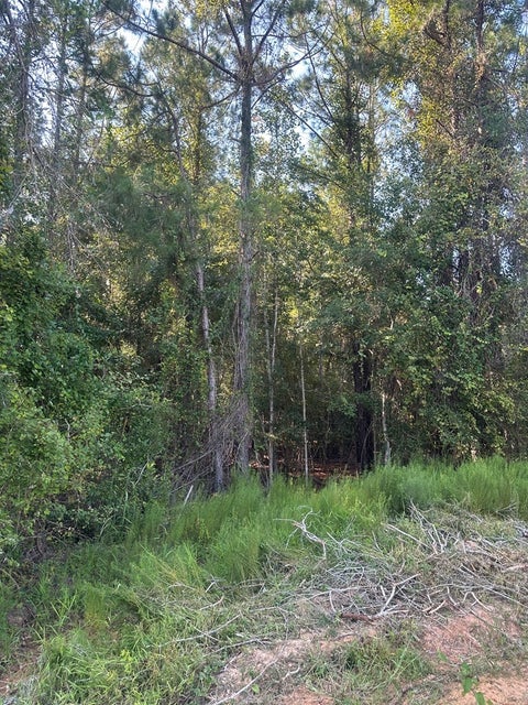 Tiny photo for 0 Sparrow Rd, Fitzgerald, GA 31750 (MLS # 142470)
