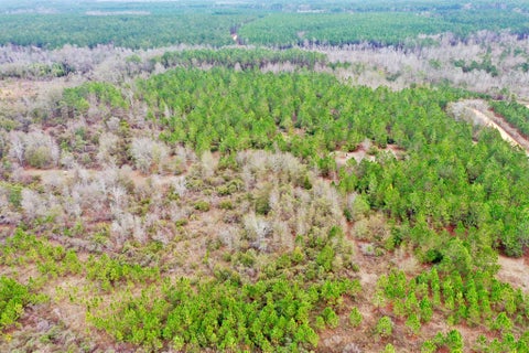 Tiny photo for 0 Sparrow Rd, Fitzgerald, GA 31750 (MLS # 142470)