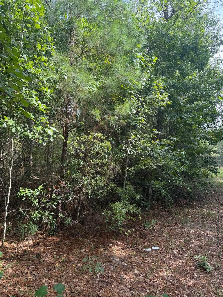 1 Sand Ridge Lane
