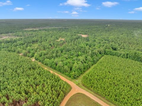 Photo of 2848 Lee Rd, Ashburn, GA 31714 (MLS # 142429)