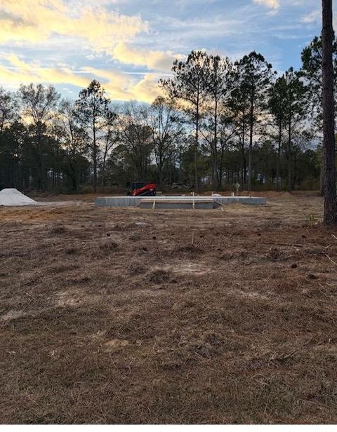 231 Ford Poulan GA 31781