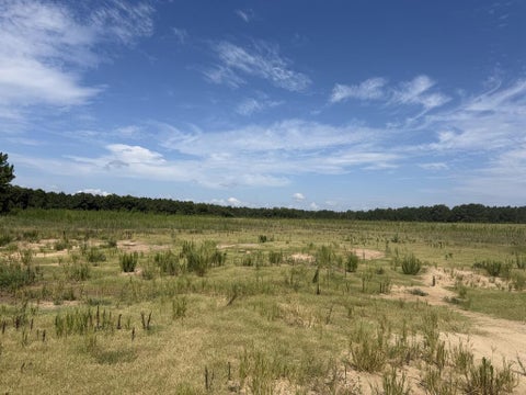 Photo of 0 Ross Rd, Tifton, GA 31794 (MLS # 143235)