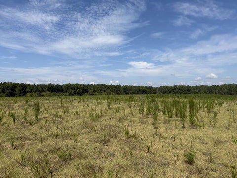 Tiny photo for 0 Ross Rd, Tifton, GA 31794 (MLS # 143235)