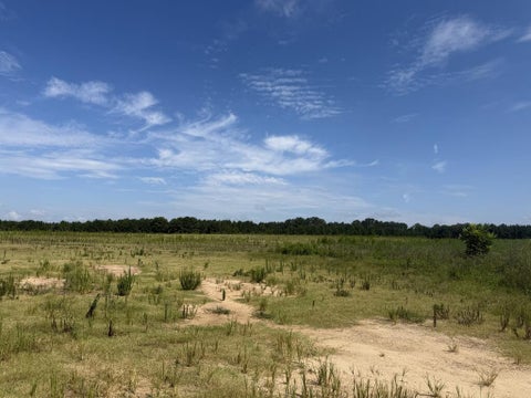 Tiny photo for 0 Ross Rd, Tifton, GA 31794 (MLS # 143235)