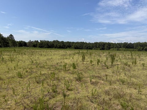Tiny photo for 0 Ross Rd, Tifton, GA 31794 (MLS # 143235)