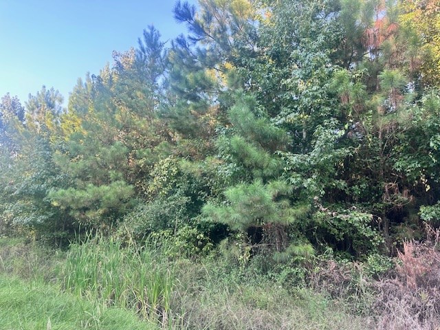 1020 Flathead Road