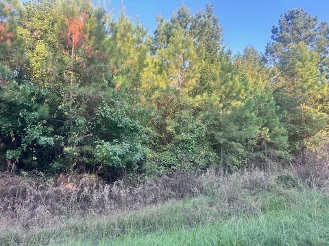 Tiny photo for 1020 Flathead Road, Vienna, GA 31092 (MLS # 138925)