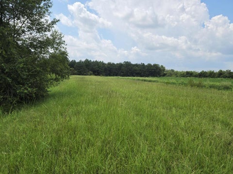 Tiny photo for 0 Roy and Blanche Hulett Road, Fitzgerald, GA 31750 (MLS # 143051)
