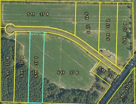 Tiny photo for 0 Roy and Blanche Hulett Road, Fitzgerald, GA 31750 (MLS # 143051)