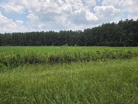Tiny photo for 0 Roy and Blanche Hulett Road, Fitzgerald, GA 31750 (MLS # 143051)