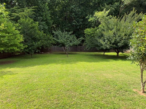 Tiny photo for 6379 Magnetic Point, Flowery Branch, GA 30542 (MLS # 142836)