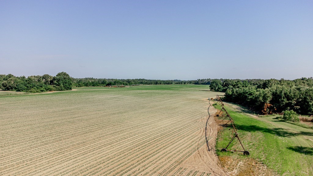 00 Bell Road