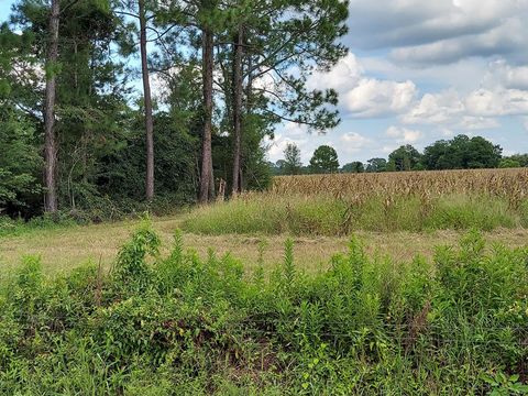 Tract 4 Harold Tyson Road Tifton GA 31794