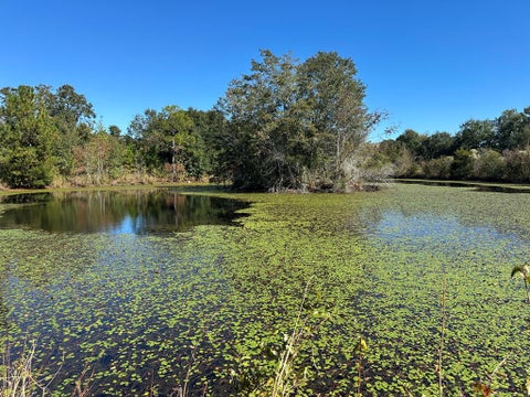 Photo of 0 Hwy 82, Sumner, GA 31789 (MLS # 143121)