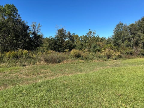 Tiny photo for 0 Hwy 82, Sumner, GA 31789 (MLS # 143121)