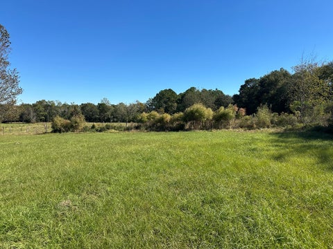 Tiny photo for 0 Hwy 82, Sumner, GA 31789 (MLS # 143121)