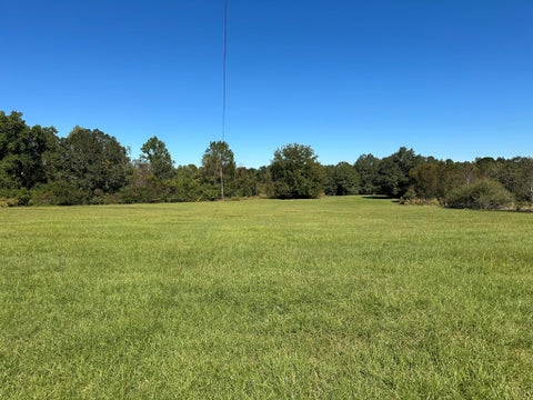 Tiny photo for 0 Hwy 82, Sumner, GA 31789 (MLS # 143121)