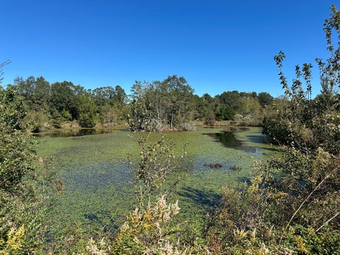 Tiny photo for 0 Hwy 82, Sumner, GA 31789 (MLS # 143121)