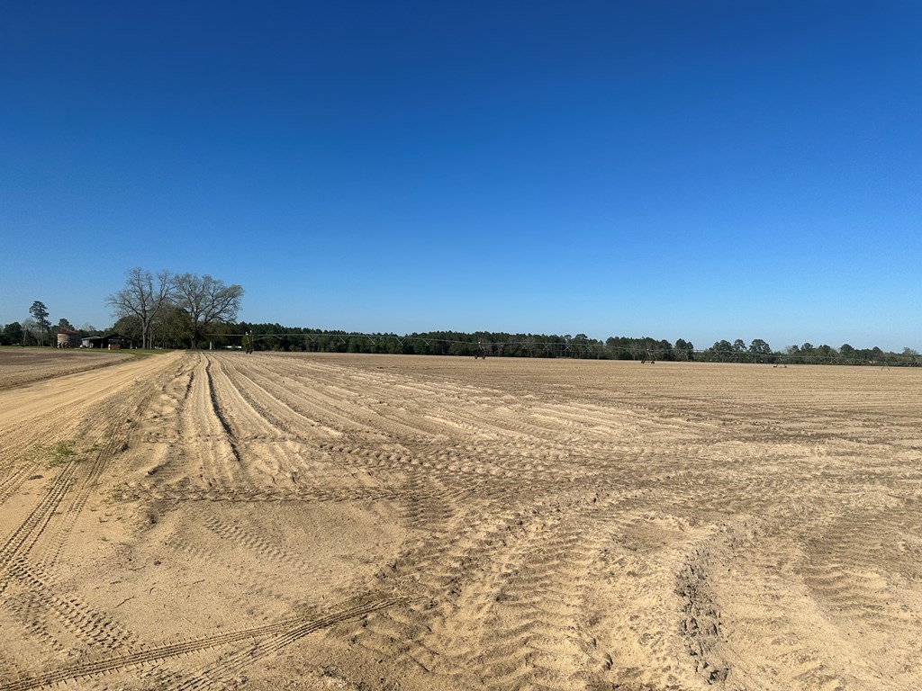 0 S US HWY 41 / LEE BALL RD,