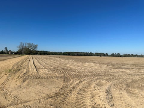 Tiny photo for 0 S US Hwy 41 / Lee Ball Rd,, Tifton, GA 31794 (MLS # 134993)