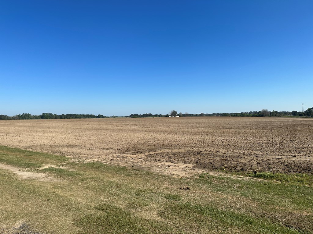 0 S US HWY 41 / LEE BALL RD,