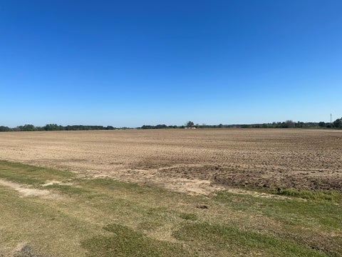 Tiny photo for 0 S US Hwy 41 / Lee Ball Rd,, Tifton, GA 31794 (MLS # 134993)