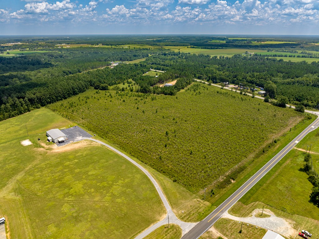 697 Benjamin H Hill Drive