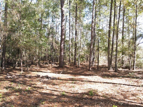 Tiny photo for 88 Adkinson Lane, Abbeville, GA 31001 (MLS # 143087)