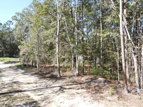 Tiny photo for 88 Adkinson Lane, Abbeville, GA 31001 (MLS # 143087)