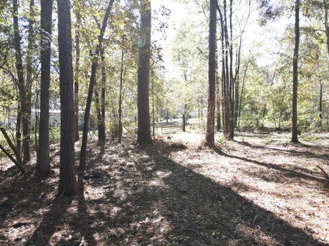 Tiny photo for 88 Adkinson Lane, Abbeville, GA 31001 (MLS # 143087)