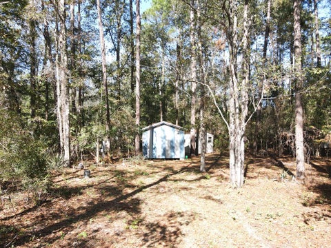 Tiny photo for 88 Adkinson Lane, Abbeville, GA 31001 (MLS # 143087)