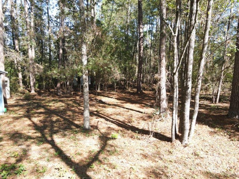 Tiny photo for 88 Adkinson Lane, Abbeville, GA 31001 (MLS # 143087)