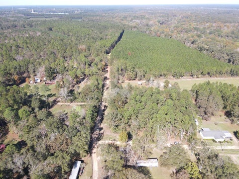 Tiny photo for 88 Adkinson Lane, Abbeville, GA 31001 (MLS # 143087)