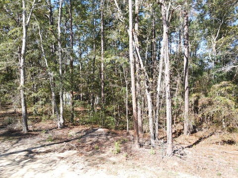 Tiny photo for 88 Adkinson Lane, Abbeville, GA 31001 (MLS # 143087)