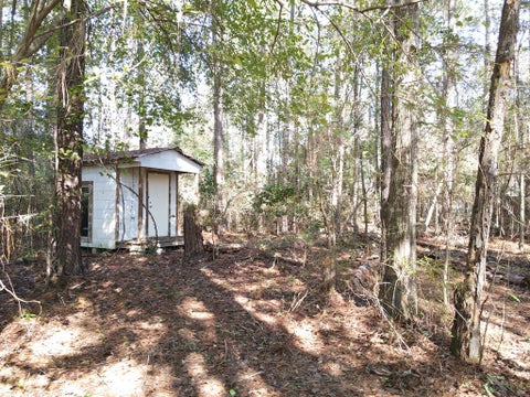 Tiny photo for 88 Adkinson Lane, Abbeville, GA 31001 (MLS # 143087)