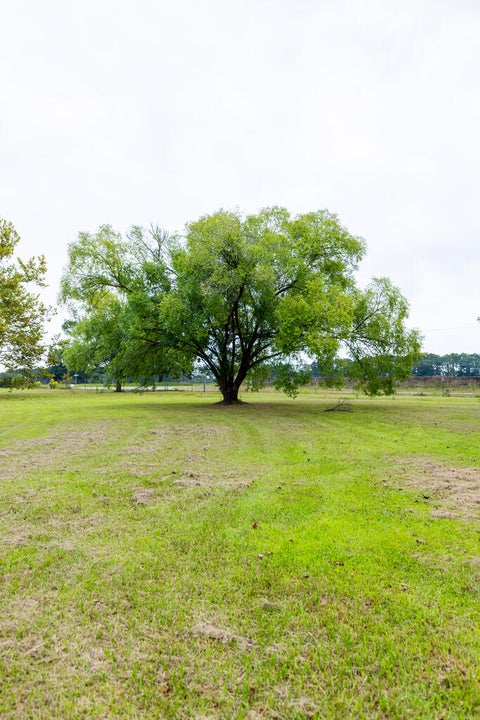 Tiny photo for 7 Red Oak RD, Tifton, GA 31794 (MLS # 143202)