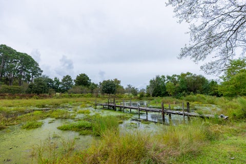 Tiny photo for 7 Red Oak RD, Tifton, GA 31794 (MLS # 143202)
