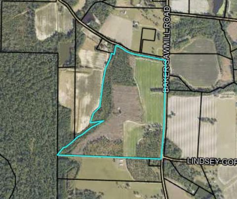 1629 Baker Sawmill Road Lenox GA 31637