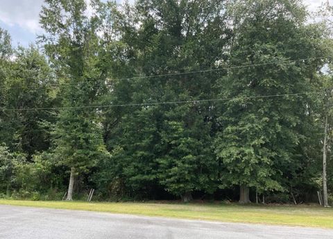 Photo of 0 N Carpenter Road, Tifton, GA 31793 (MLS # 139115)
