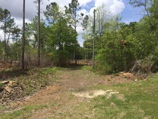 Tiny photo for 0 E 0 HWY 125 South, Tifton, GA 31794 (MLS # 128546)