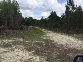 Tiny photo for 0 E 0 HWY 125 South, Tifton, GA 31794 (MLS # 128546)