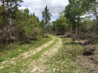 Tiny photo for 0 E 0 HWY 125 South, Tifton, GA 31794 (MLS # 128546)