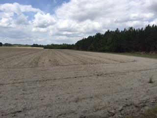Tiny photo for 0 E 0 HWY 125 South, Tifton, GA 31794 (MLS # 128546)