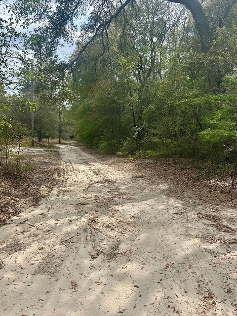 0 Boxelder Ocilla GA 31774