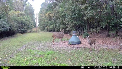 Tiny photo for 0 N Main Street, Ashburn, GA 31714 (MLS # 139043)