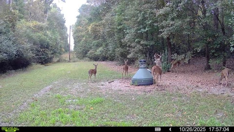 Tiny photo for 0 N Main Street, Ashburn, GA 31714 (MLS # 139043)