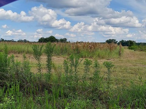 Tract 3 Harold Tyson Road Tifton GA 31794