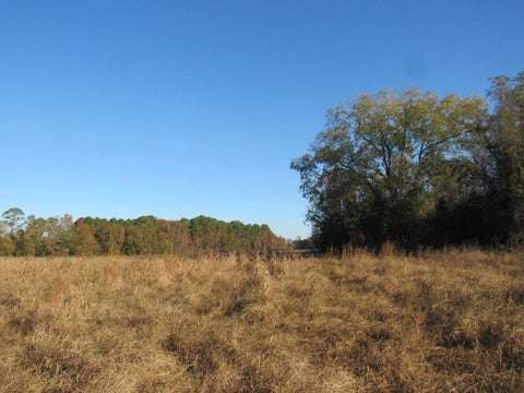 Tiny photo for 0 Stonebridge Rd, Tifton, GA 31794 (MLS # 139116)